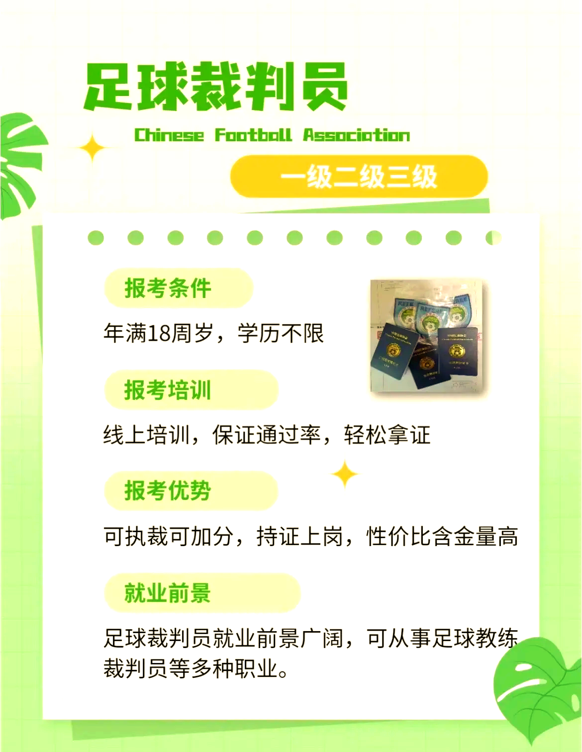 Leyu Sports (乐鱼体育)-关于青少年足球裁判员选拔体系不断优化，公平公正更加保障的信息